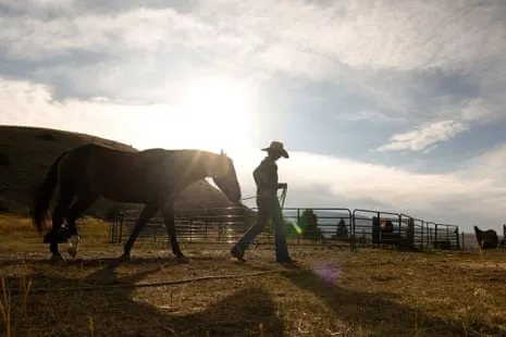 Discover the US Cowgirls Redefining Contemporary Ranching