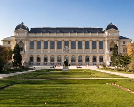 Historic Gold Samples Taken in Bold Robbery at French Natural History Museum