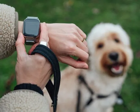 The Truth About Wearable Tech? Living Is Better Lacking a Bossy Gadget on Your Arm